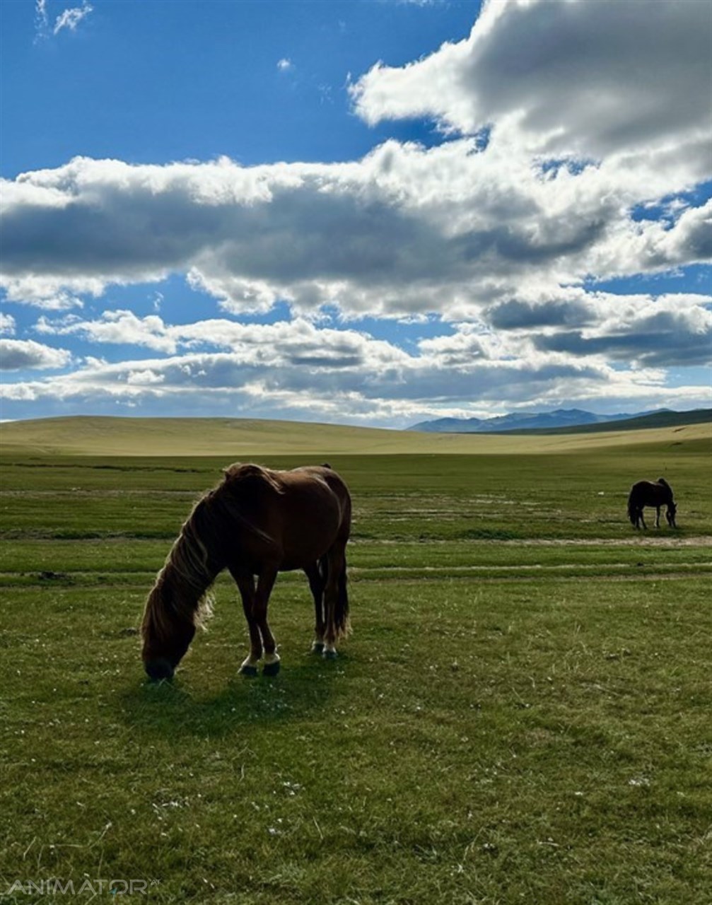 Mongolia Horyzonty Męskości